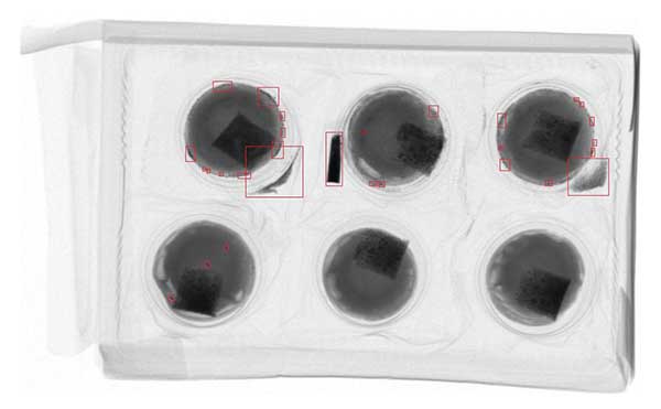 X射线异物检测 X射线异物检测